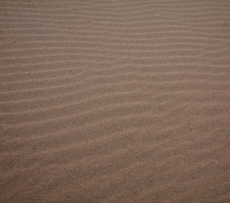 Sandy beach texture