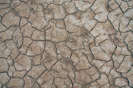 The texture of the dry land, the dirt.