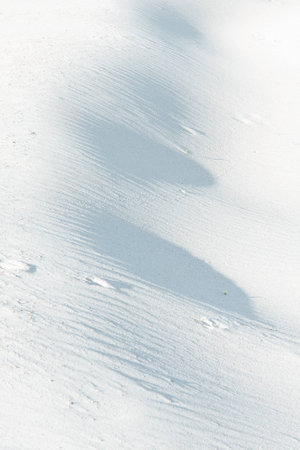 Sandy sandの写真素材