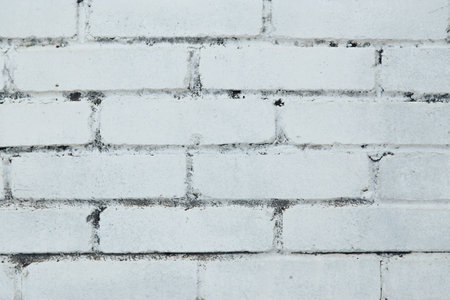 White kerpichnaya masonryの写真素材