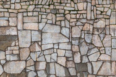 Textured gray wall with cracks and mossの写真素材