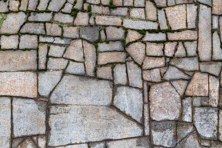Textured gray wall with cracks and mossの写真素材