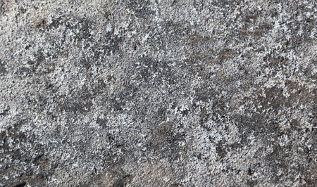 Unique gray earth textureの写真素材
