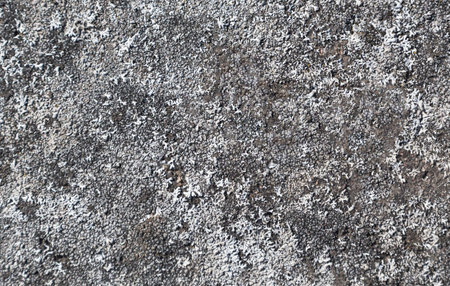 Unique gray earth textureの写真素材