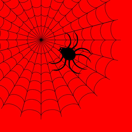 Vector illustration of spider on web isolated on red backgroundのイラスト素材