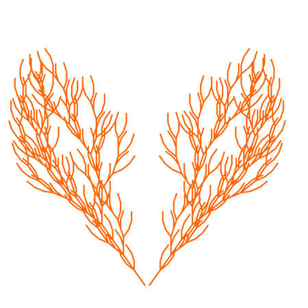 Vector illustration of dry twig, autumn treeのイラスト素材