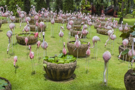 Wide of a bright flaming of a Bright flamingoのeditorial素材