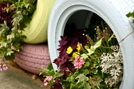 Flowers in wheel with leaves and blur backgroundの写真素材