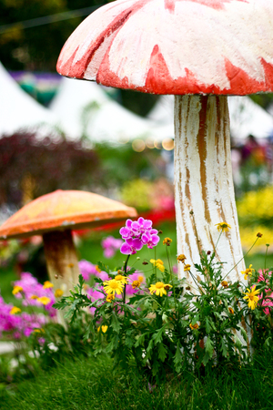 Flowers and mushroom with blur backgroundの写真素材