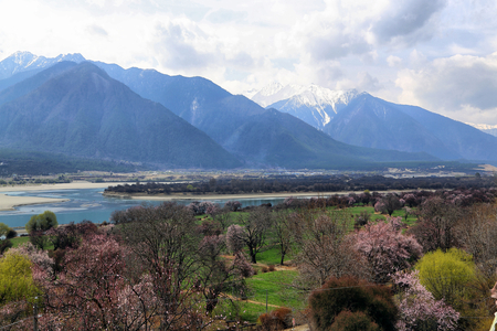 Peach blossom scenery in Linzhi, Tibetの写真素材