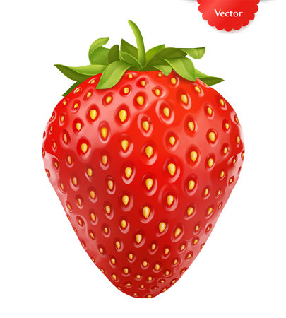 Strawberry realistic 3d vector illustration isolated on white backgroundのイラスト素材