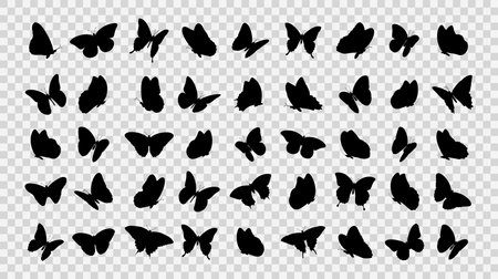 Collection of butterfly silhouettes on transparent background. Vector illustrationのイラスト素材