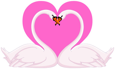 Two loving swansのイラスト素材