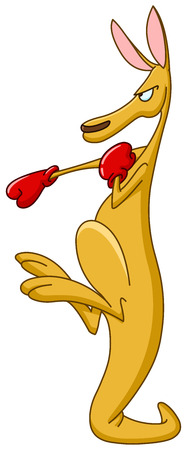 Kangaroo boxingのイラスト素材