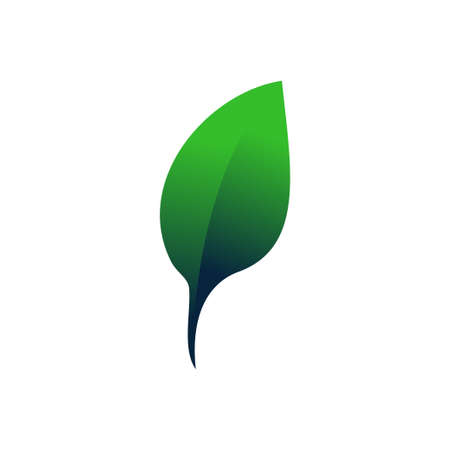 Leaf Frame Element Designのイラスト素材