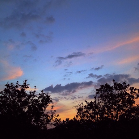 Bluesky Countrysideの素材