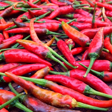 Chilliの素材