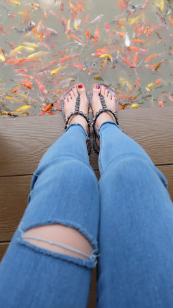 Close Up on Girl's Feet Wearing Silver Sandals and Red Nails with Fancy Carp Swimming in The Pond Background Great For Any Use.の写真素材