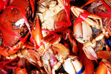 Fresh Mud Crabs, Sea Crab with Natural on Red Basket Background Great For Any Use.