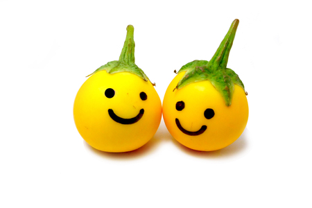 Couple Yellow Eggplant. Fresh Eggplant Vegetable with a Smile on White Background Great For Any Use.の写真素材