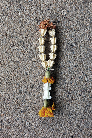 Old Jasmine Garland, Dried Jasmine Garland with Marigold Isolated on Ground Background Great For Any...