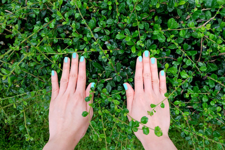 Green Manicure Nail. Womans Hand Nails Polish on the Green Grass Background Great for Any Use.の写真素材