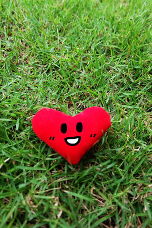 Red Heart for Valentines Day Concept. Smile Face Red Heart Isolated On Fresh Green Grass Garden Background Great for Any Use.の写真素材