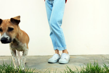 White Shoes. Woman Wear White Sneakers with Dog Outside on Concrete Road Background Great for Any...