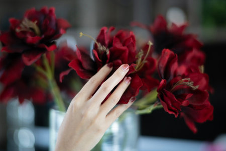 Woman hand holding red rose flower on background. Valentine's Day.の写真素材
