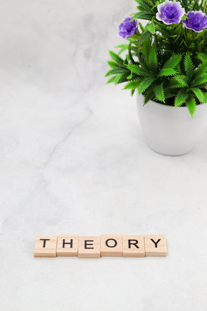 Top view of Theory word on wooden cube letter block on white background. Business conceptの写真素材