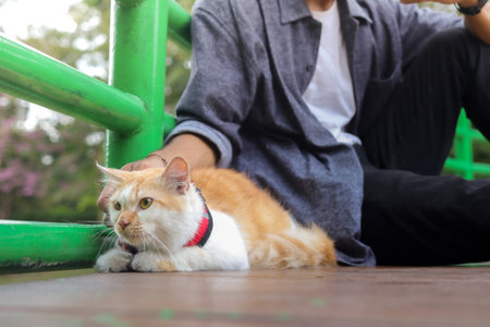 Outdoor portrait of Asian man holding and giving gentle touch to cat, taking care of his pet in nature park. Love relationship between humans and animals.の写真素材
