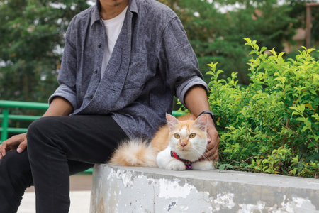 Outdoor portrait of Asian man holding and giving gentle touch to cat, taking care of his pet in nature park. Love relationship between humans and animals.の写真素材