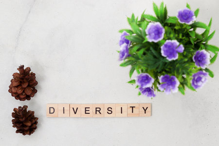 Top view of Diversity word on wooden cube letter block on white background. Business conceptの写真素材