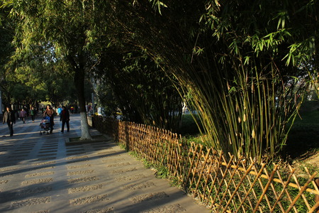 Park viewのeditorial素材