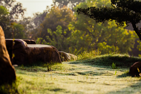 natural Turquoise at gardenの写真素材