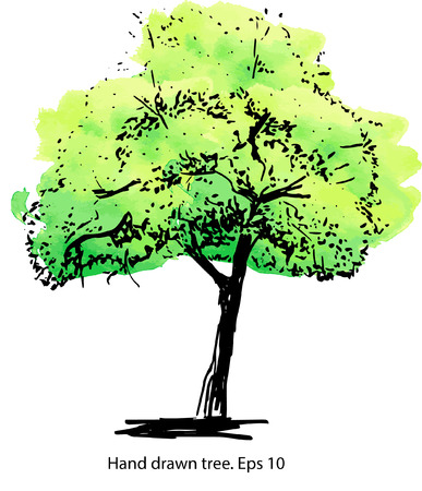 Green tree. Elegant vector hand-drawn illustration for design, textile and print.のイラスト素材