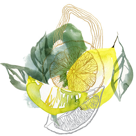 Watercolor tropical card of abstract lemons and linear slices. Hand painted composition of fresh fruits and leaves isolated on white background. Tasty food illustration for design, print, background.の写真素材