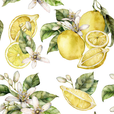 Watercolor seamless pattern of green leaves, blooming flowers and ripe lemons. Hand painted fresh fruits isolated on white background. Tasty food illustration for design, print, fabric or background.の写真素材