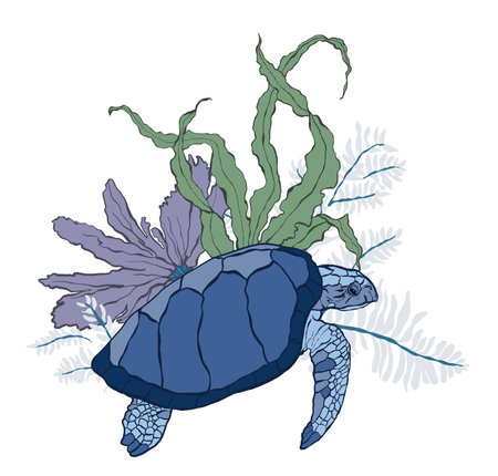 Vector turtle and coral kelp. Underwater animal and plant illustration isolated on white background. For design, prints, fabric or background.のイラスト素材