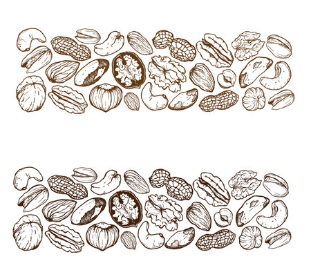 Vector line art border composition of mix nuts. Hand painted pistachio, walnut, hazelnut and almond on white background. Tasty food illustration for design, print, fabric or background.のイラスト素材