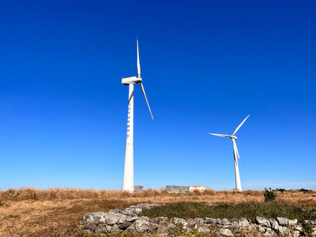 The vast fields, the sea, and windmills.