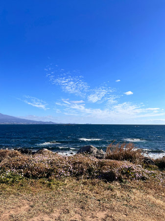 Landscape of the sea with flowers and mountains in the background.の写真素材