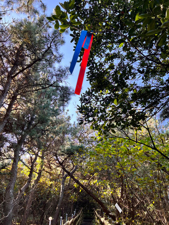 Red and blue clothespins hanging from a tree in the park.