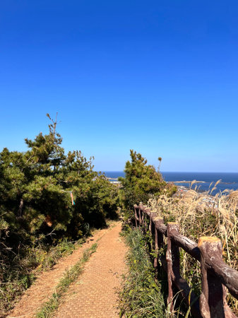 Path to the sea, Canary Islands, Spain. vertical shot.の写真素材