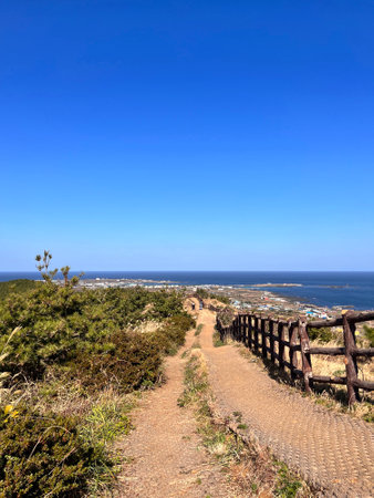 Hiking trail leading to the oceanの写真素材
