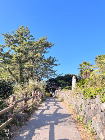 Pathway in the Japanese garden with palm trees and blue sky.の写真素材