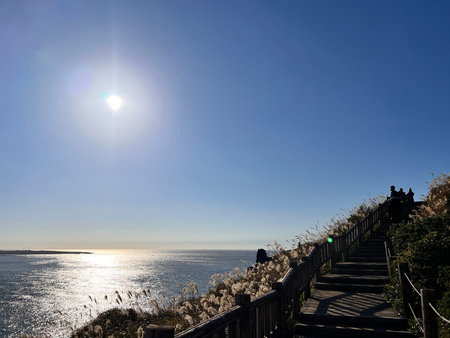 Wooden walkway leading to the sea with sun in the background