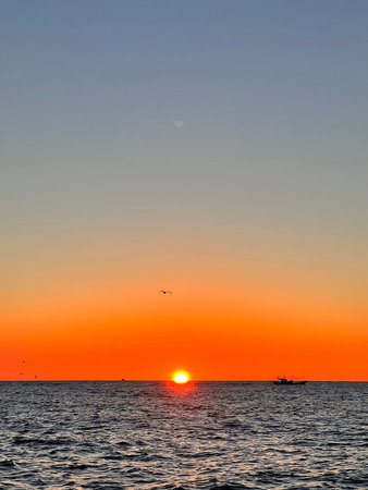 Sunset over the sea with seagulls in the sky