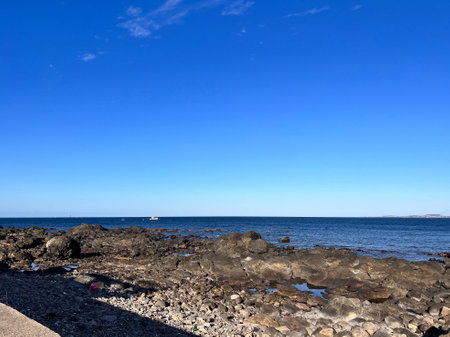 Photo Picture of the Beautiful Ocean Coast's View Montana Amarilla Tenerifeの写真素材