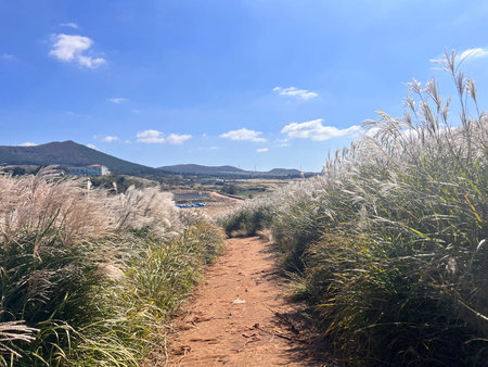 Hiking trail in the grassland under blue sky and white clouds